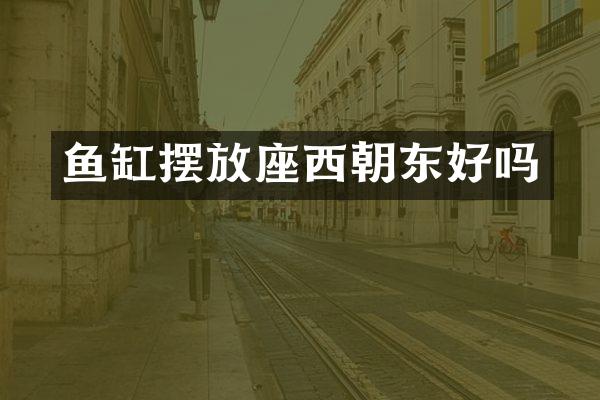 鱼缸摆放座西朝东好吗