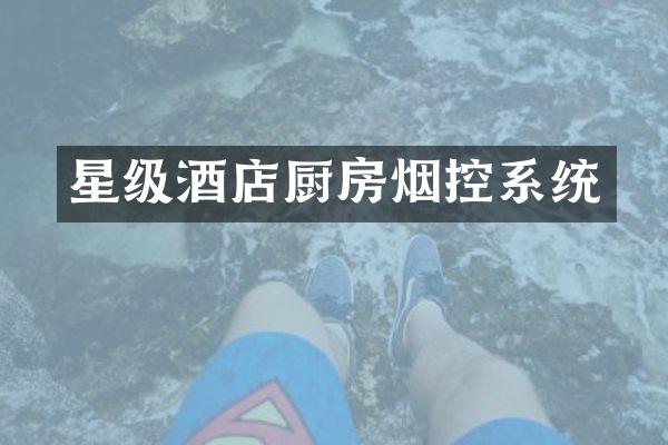 星级酒店厨房烟控系统
