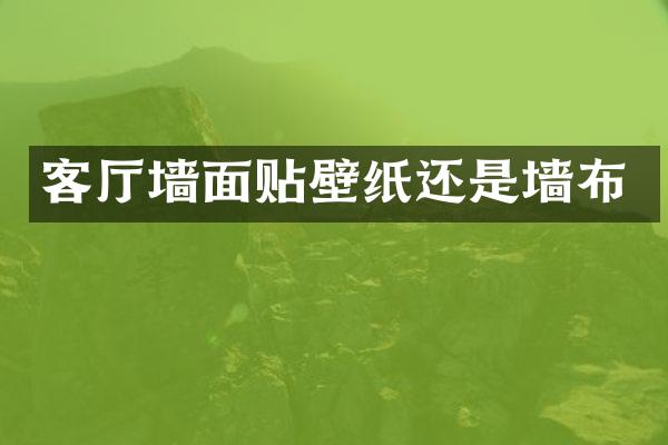 客厅墙面贴壁纸还是墙布