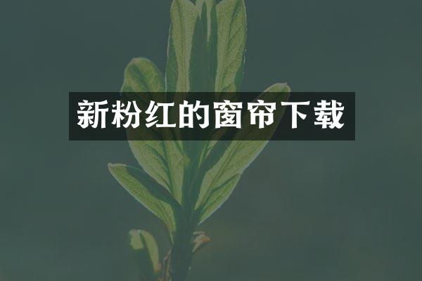 新粉红的窗帘下载