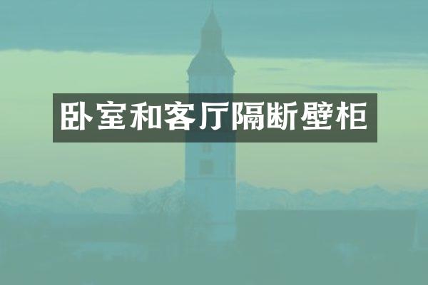 卧室和客厅隔断壁柜