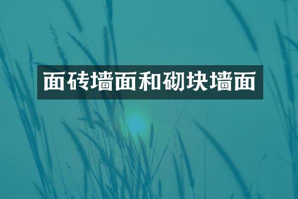 面砖墙面和砌块墙面