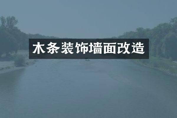 木条装饰墙面改造