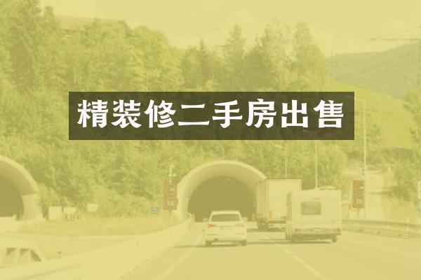 精装修二手房出售