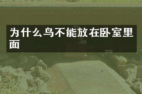 为什么鸟不能放在卧室里面
