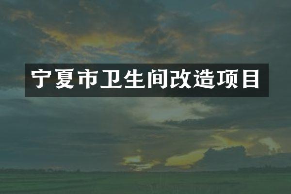 宁夏市卫生间改造项目