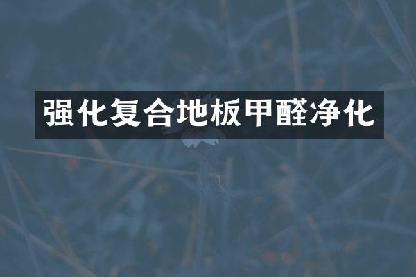 强化复合地板甲醛净化