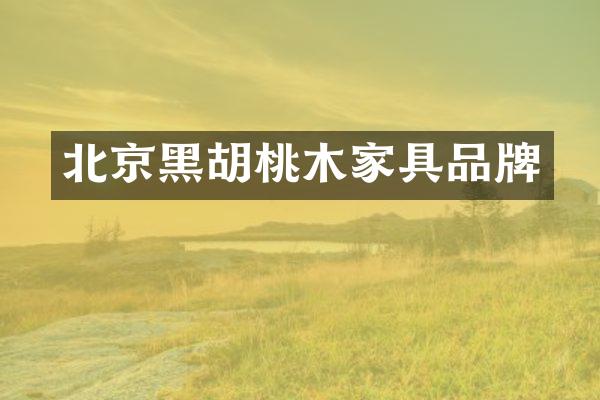 北京黑胡桃木家具品牌