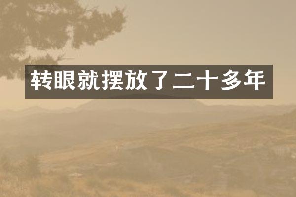 转眼就摆放了二十多年