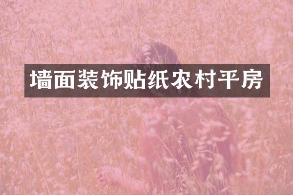 墙面装饰贴纸农村平房