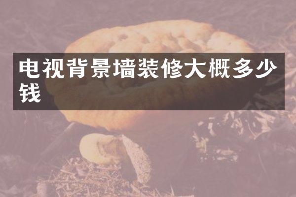 电视背景墙装修大概多少钱