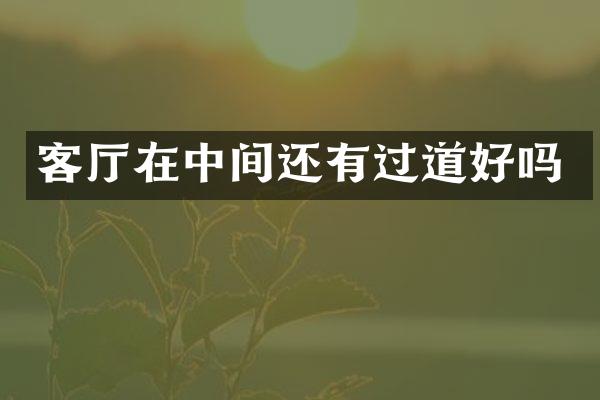 客厅在中间还有过道好吗