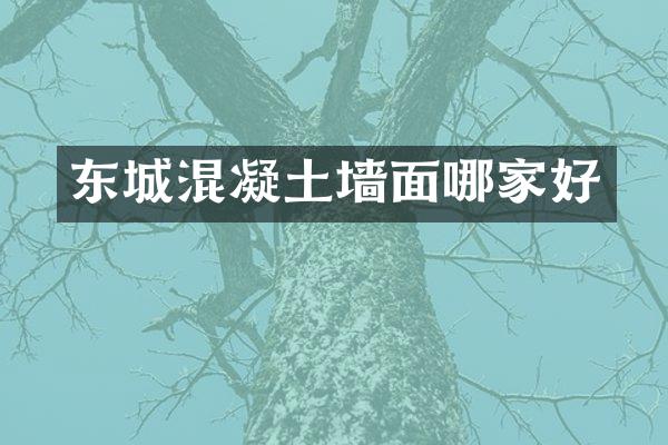 东城混凝土墙面哪家好
