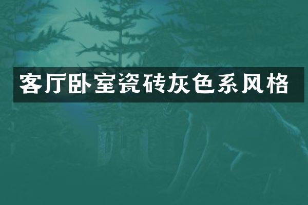 客厅卧室瓷砖灰色系风格