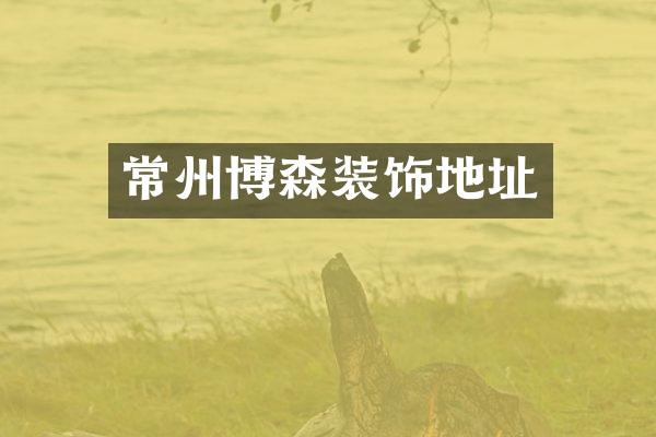 常州博森装饰地址