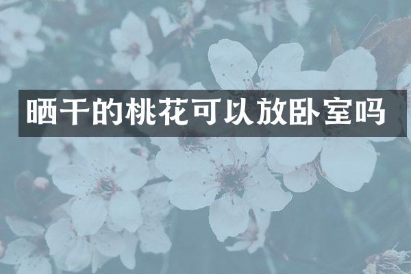 晒干的桃花可以放卧室吗