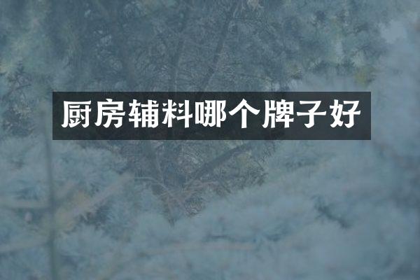 厨房辅料哪个牌子好