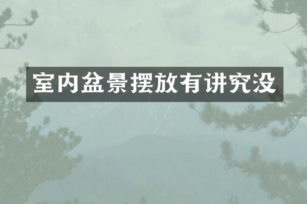 室内盆景摆放有讲究没