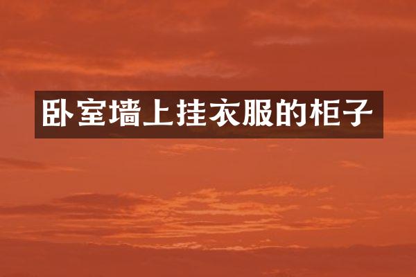 卧室墙上挂衣服的柜子