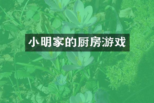 小明家的厨房游戏