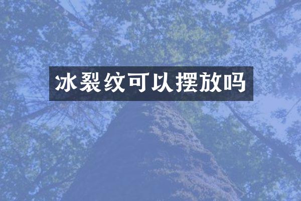 冰裂纹可以摆放吗