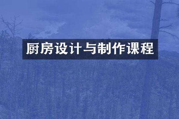 厨房设计与制作课程