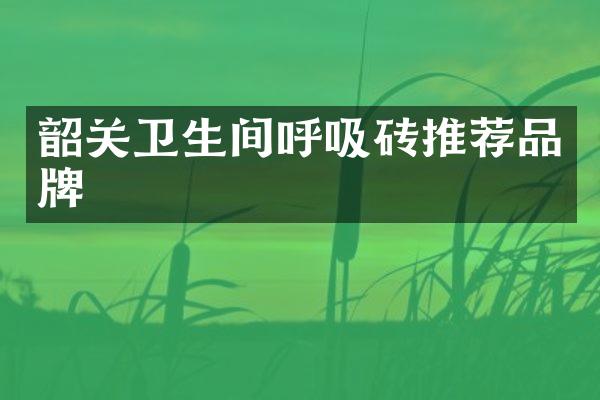 韶关卫生间呼吸砖推荐品牌