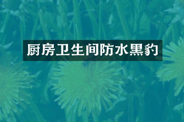 厨房卫生间防水黑豹
