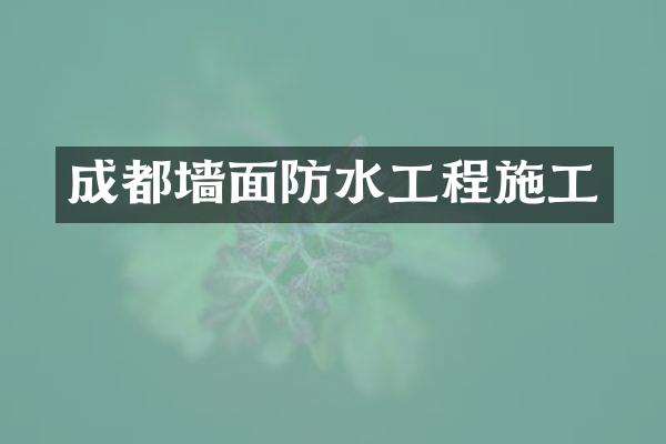 成都墙面防水工程施工