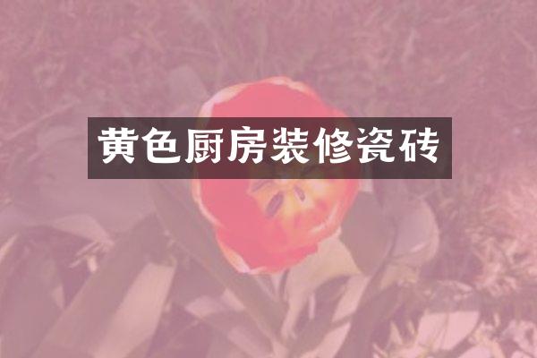 黄色厨房装修瓷砖