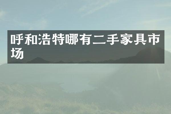 呼和浩特哪有二手家具市场