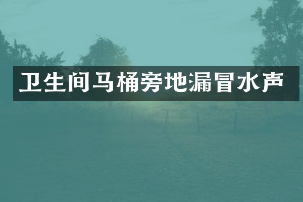 卫生间马桶旁地漏冒水声