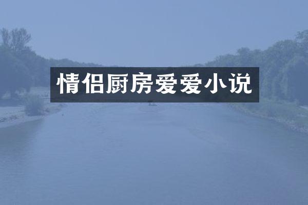 情侣厨房爱爱小说