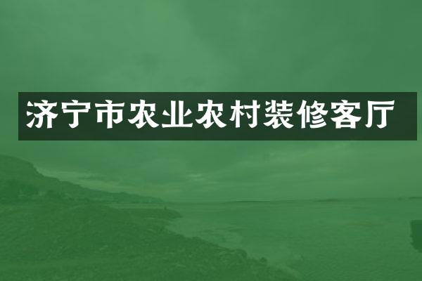 济宁市农业农村装修客厅