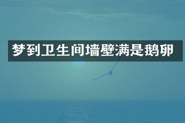 梦到卫生间墙壁满是鹅卵
