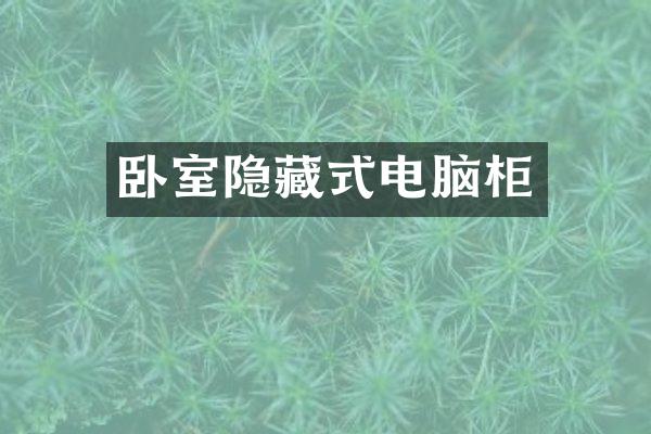 卧室隐藏式电脑柜