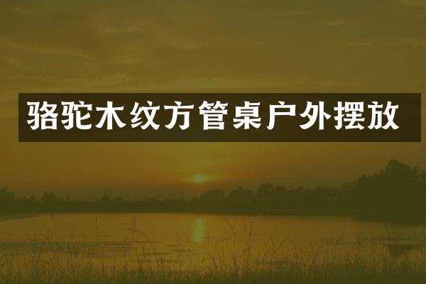 骆驼木纹方管桌户外摆放