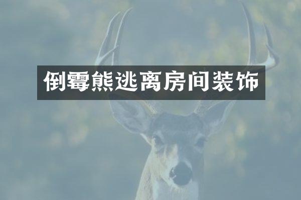 倒霉熊逃离房间装饰