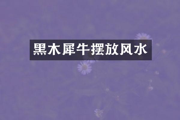 黑木犀牛摆放风水