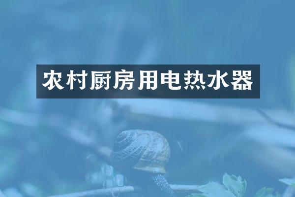 农村厨房用电热水器