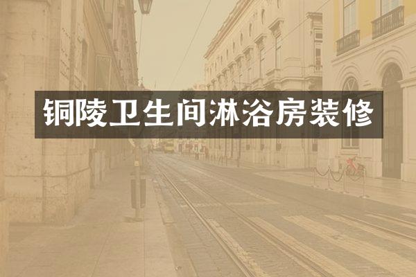 铜陵卫生间淋浴房装修