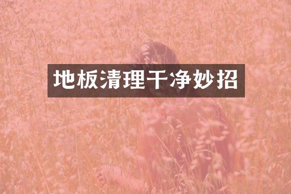 地板清理干净妙招