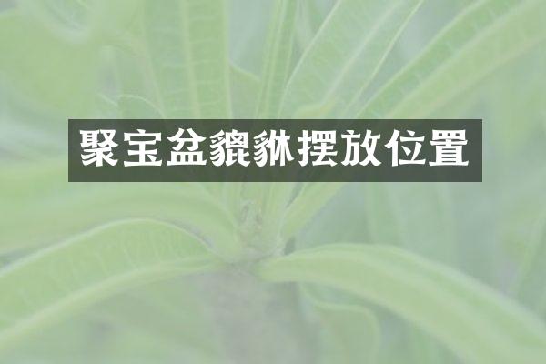 聚宝盆貔貅摆放位置