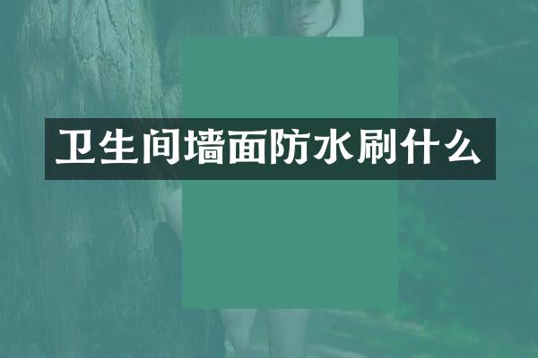 卫生间墙面防水刷什么