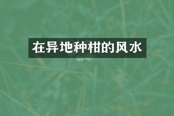 在异地种柑的风水