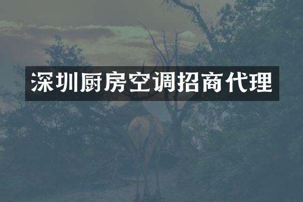 深圳厨房空调招商代理