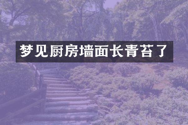 梦见厨房墙面长青苔了