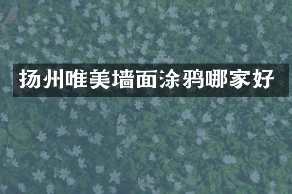 扬州唯美墙面涂鸦哪家好