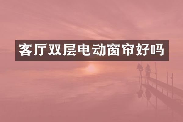 客厅双层电动窗帘好吗