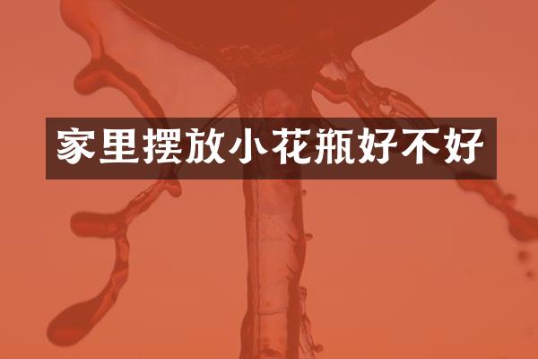 家里摆放小花瓶好不好